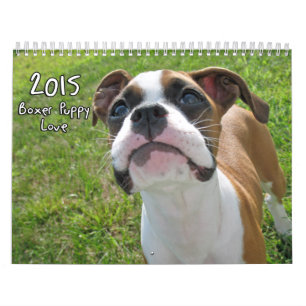 Kalender 2015 för boxarevalpkärlek