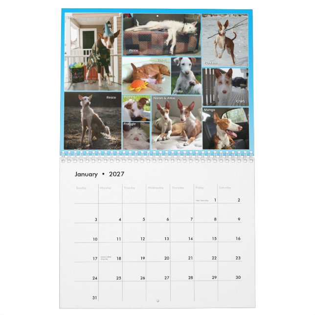 Kalender 2015 för Ibizan hundcentral (Jan 2027)