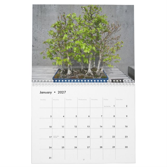 Kalender 2015 med Bonsai (Jan 2027)