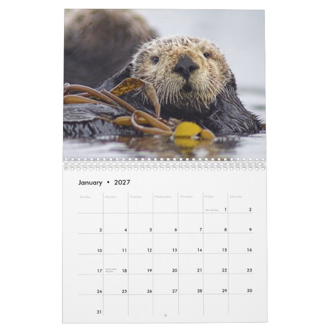 Kalender 2015 vägg - djurliv för havsutter- och (Jan 2027)