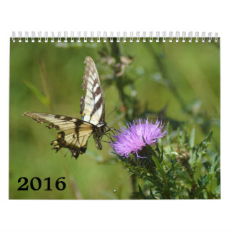 kalender 2016, fjärilar och blom