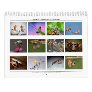 Kalender 2016 för vägg för Mantidforum
