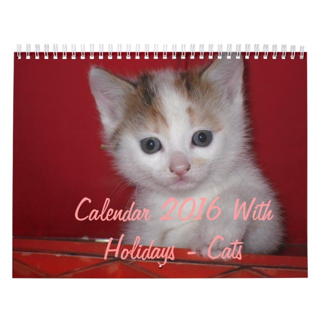 Kalender 2016 med Helgdagar - katter (Omslag)