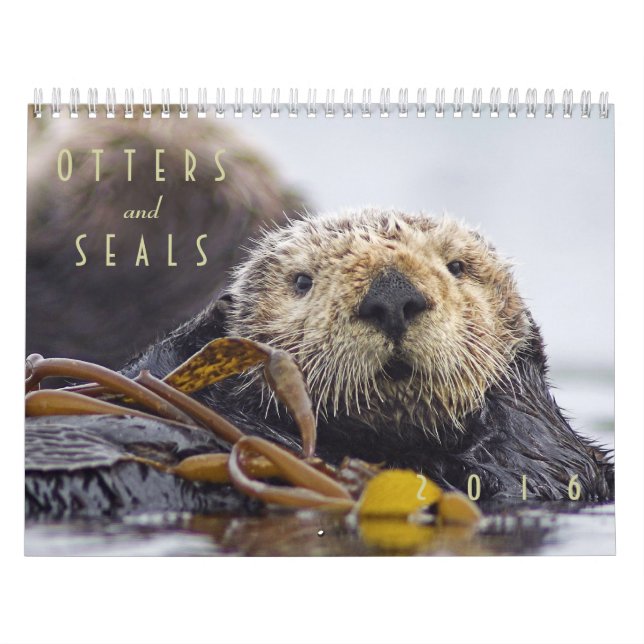 Kalender 2016 vägg - djurliv för havsutter- och (Omslag)