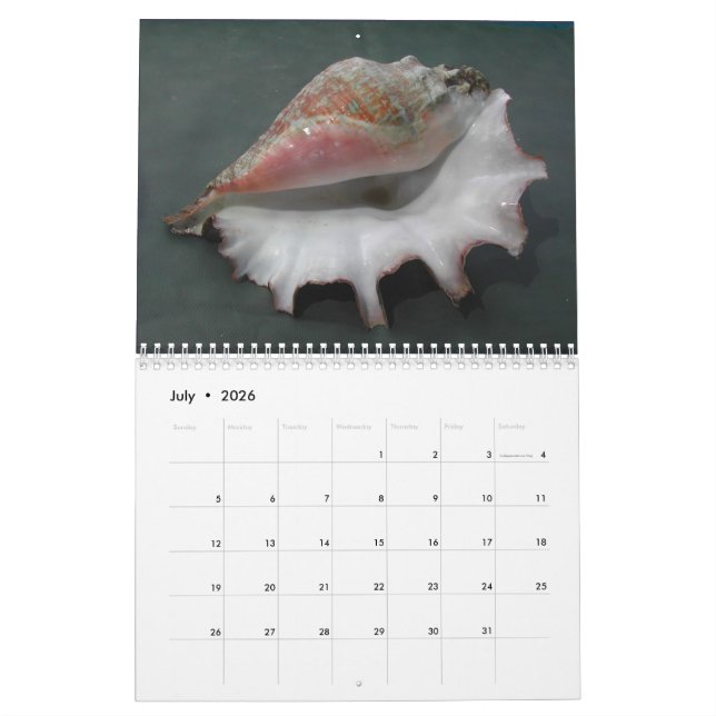Kalender 2017 av snäckor (Jul 2026)