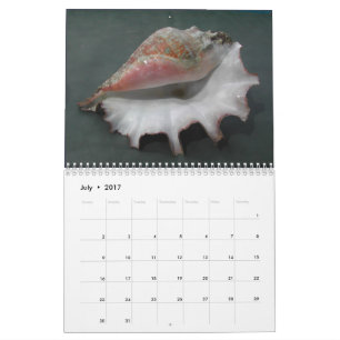 Kalender 2017 av snäckor