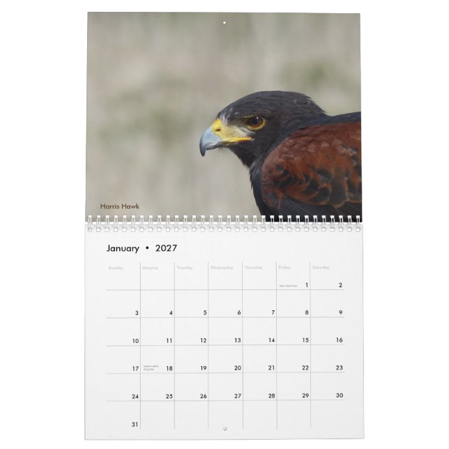Kalender 2017 - Fåglar i Nordamerika (Jan 2027)