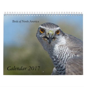 Kalender 2017 - Fåglar i Nordamerika