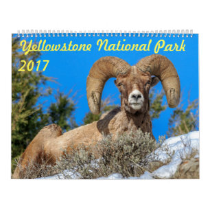 Kalender 2017 för Yellowstone nationalparkvägg