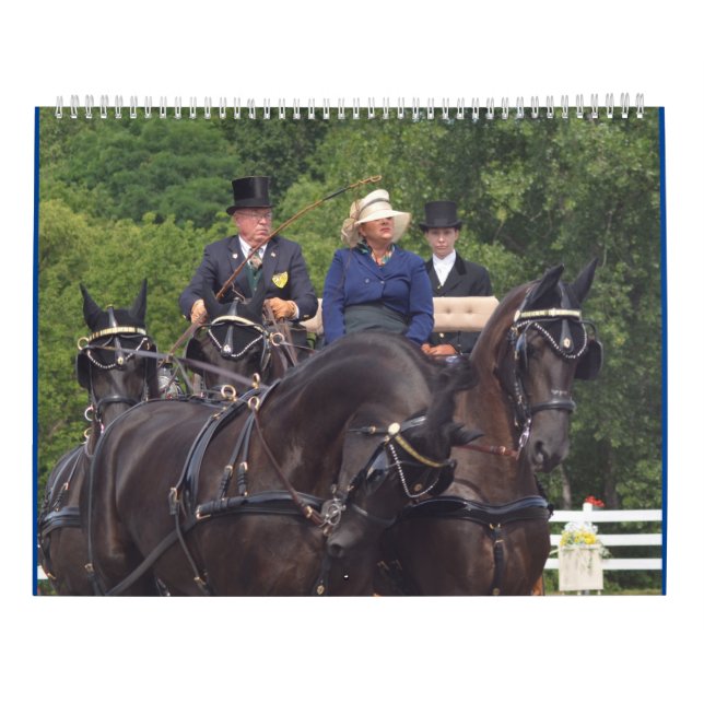 Kalender 2017 med bilder från valnötbacken (Baksida)