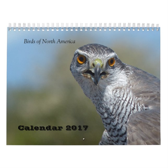 Kalender 2017 - Nordamerikas fåglar (Omslag)