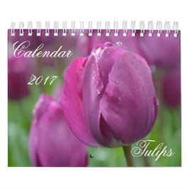Kalender 2017 Tulips