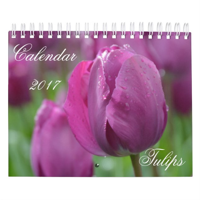 Kalender 2017 Tulips (Omslag)