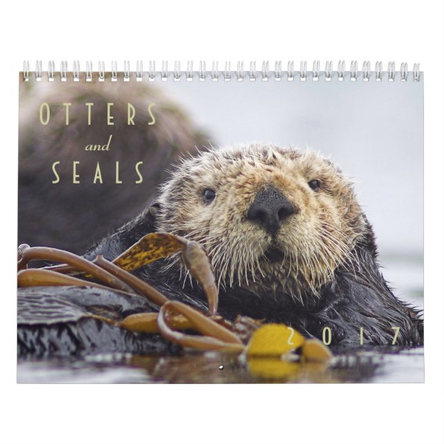 Kalender 2017 vägg - djurliv för havsutter- och (Omslag)