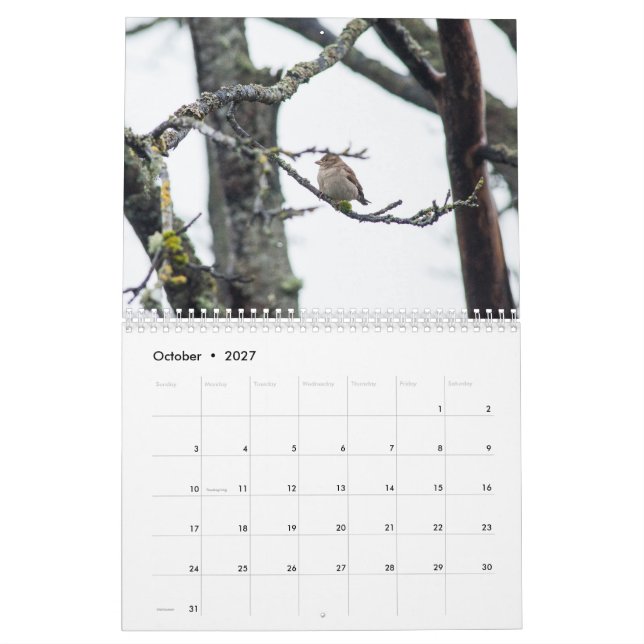 Kalender 2017 vid den Barbara uttaxeringen (Oct 2027)