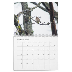 Kalender 2017 vid den Barbara uttaxeringen