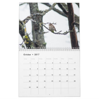 Kalender 2017 vid den Barbara uttaxeringen