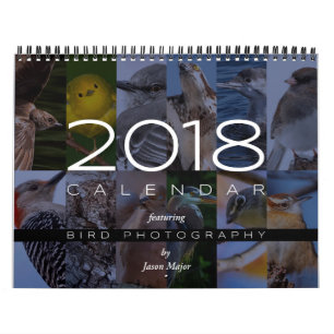 Kalender 2018 av fågelfotografi