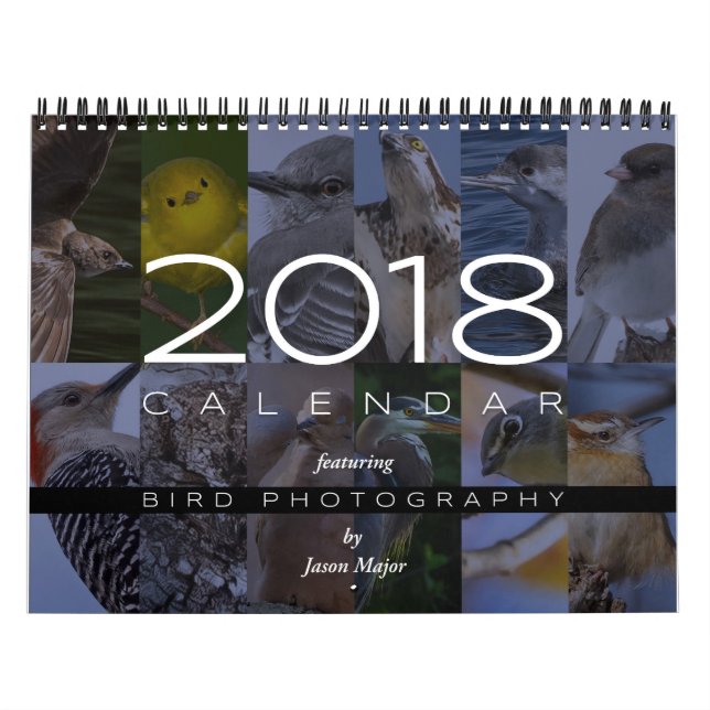 Kalender 2018 av fågelfotografi (Omslag)