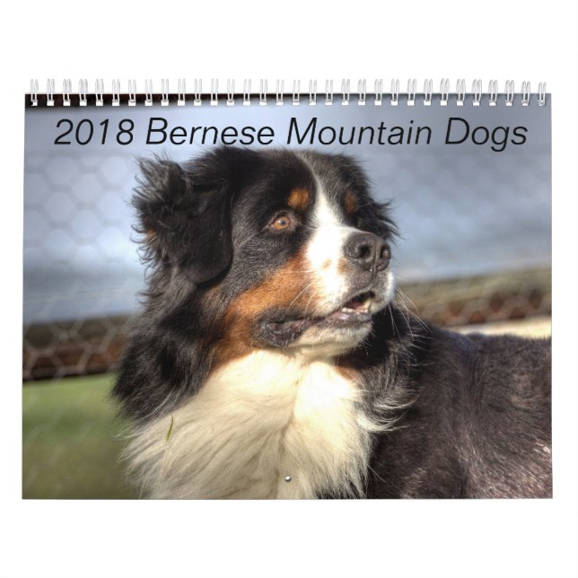 Kalender 2018 för Bernese berghund (Omslag)