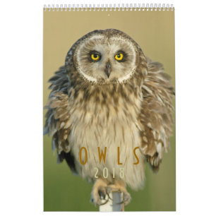 Kalender 2018 för ugglaälskarevägg