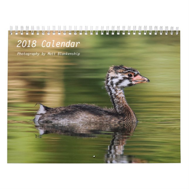 Kalender - 2018 - medel b (Omslag)