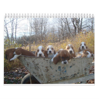 Kalender 2019 för Bassethundvalp