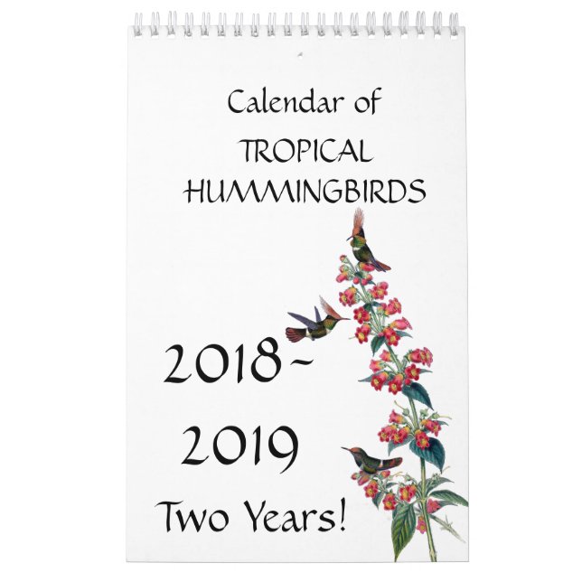 Kalender 2019 för blommigt 2018 för (Omslag)