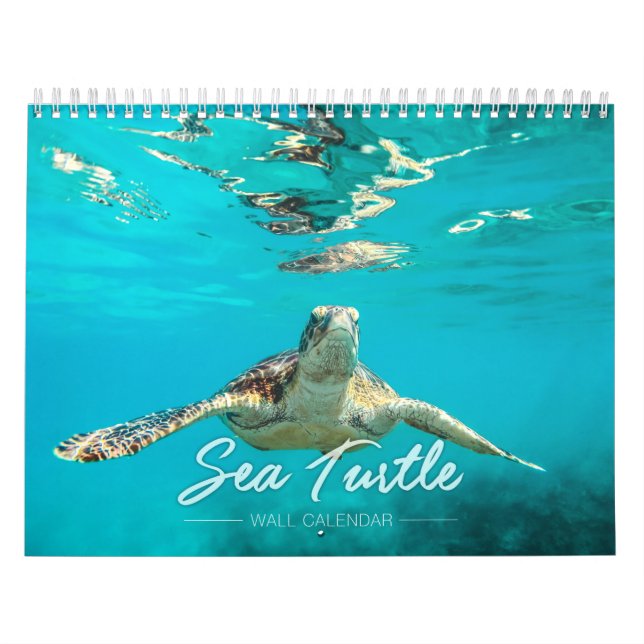 Kalender 2019 för havssköldpaddavägg (Omslag)