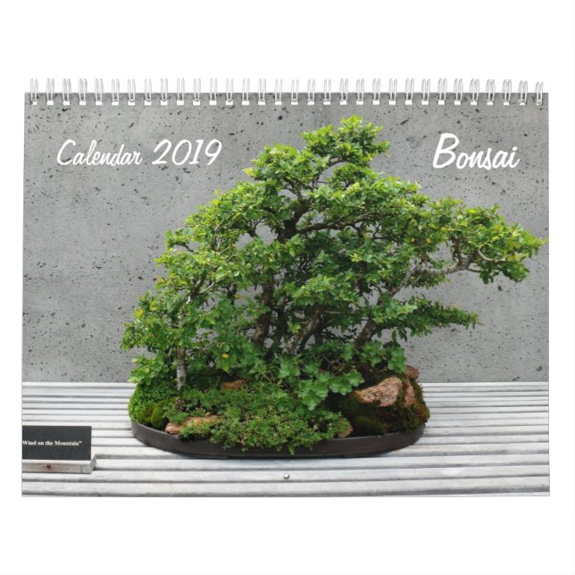 Kalender 2019 med Bonsai (Omslag)