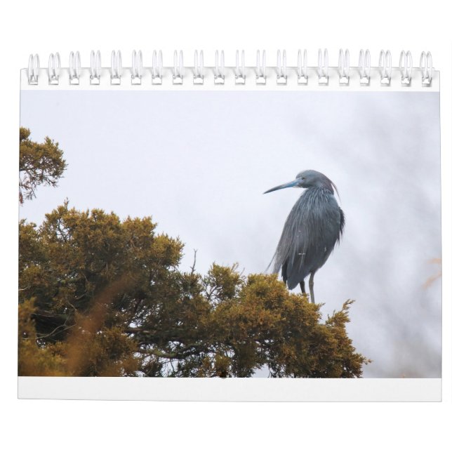 Kalender 2020 (Baksida)