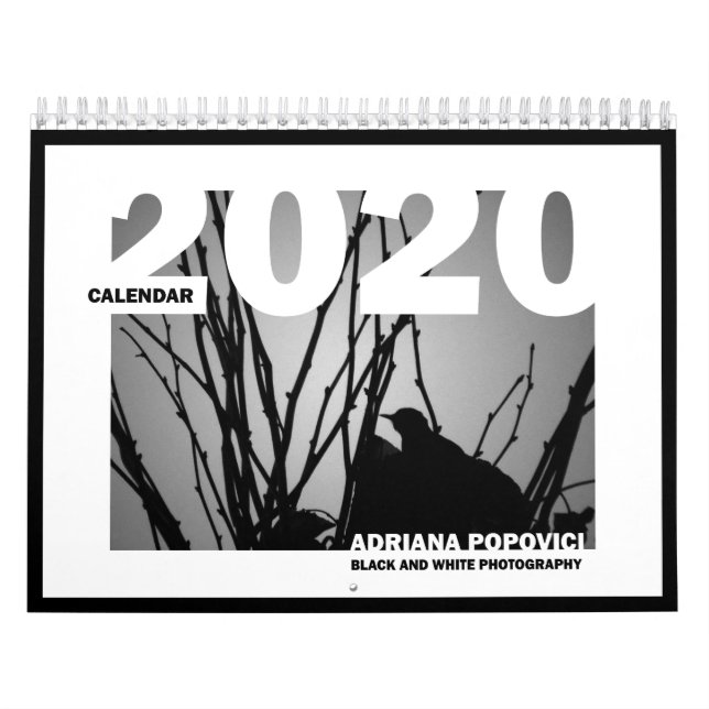 Kalender 2020: B&W Fin konsfotografi (Omslag)