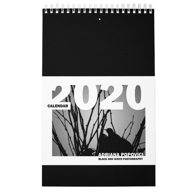 Kalender 2020: B&W Fine Art Photografisk kalender (Omslag)