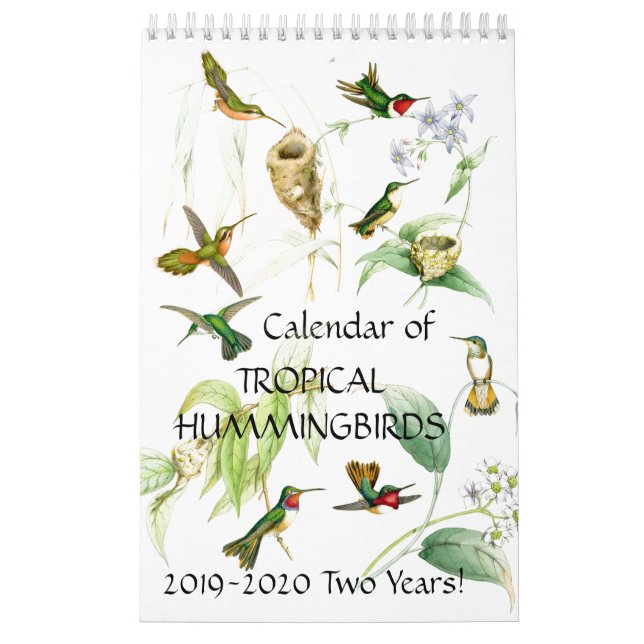 Kalender 2020 för djur 2019 för (Omslag)