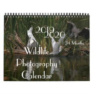 Kalender 2020 för fågeldjurlivfotografi 2019
