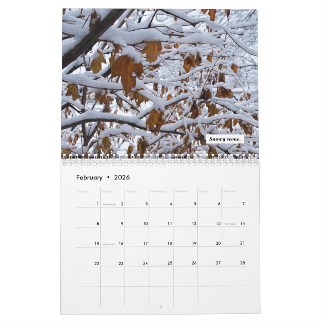 Kalender 2021 (Feb 2026)