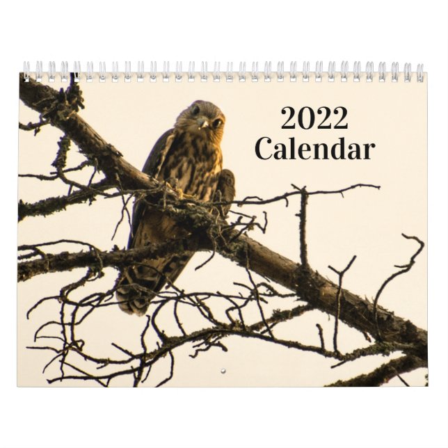 Kalender 2021 (Omslag)