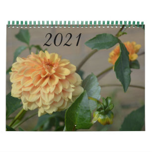 Kalender 2021 med tolv månaders dahlias