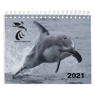Kalender 2021 - Stillahavets vita delfiner