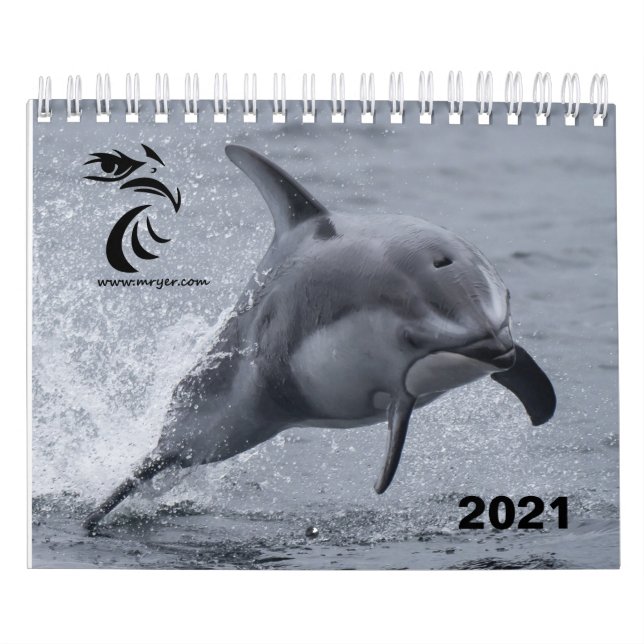 Kalender 2021 - Stillahavets vita delfiner (Omslag)
