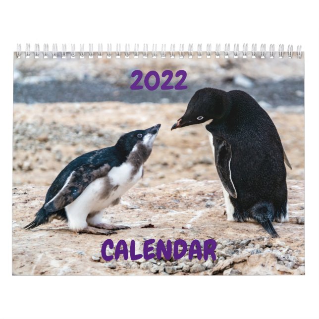 Kalender 2022 - Antarctica (Omslag)