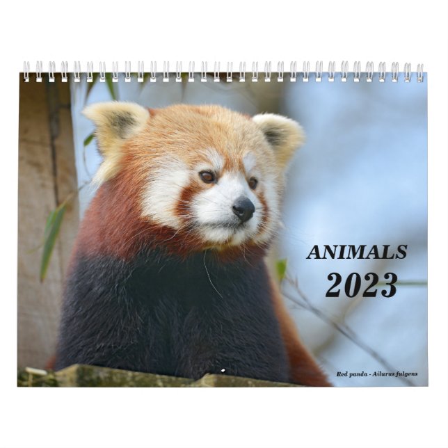 Kalender 2023 djur (Omslag)