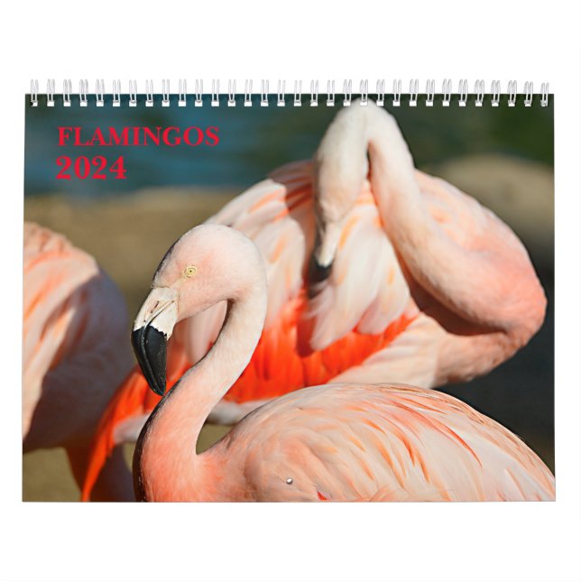 Kalender 2023 flamingos (Omslag)