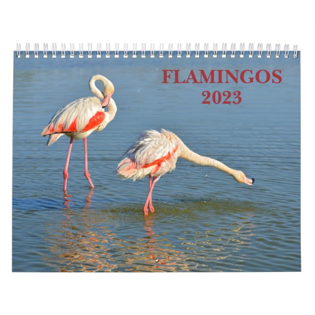 Kalender 2023 Flamingos (Omslag)