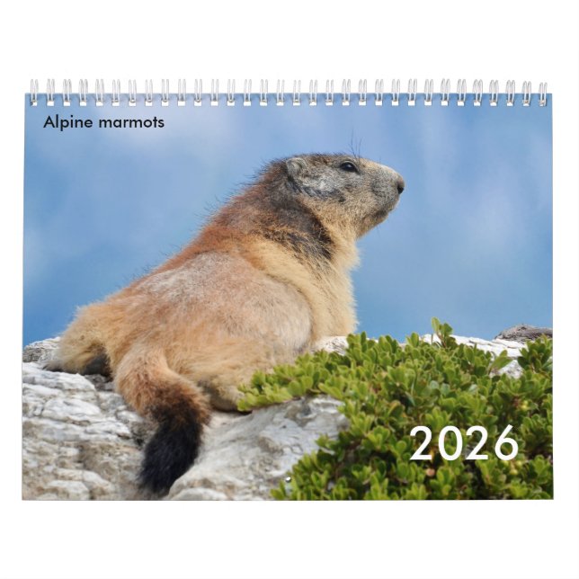 Kalender 2023 för alpmarmots (Omslag)
