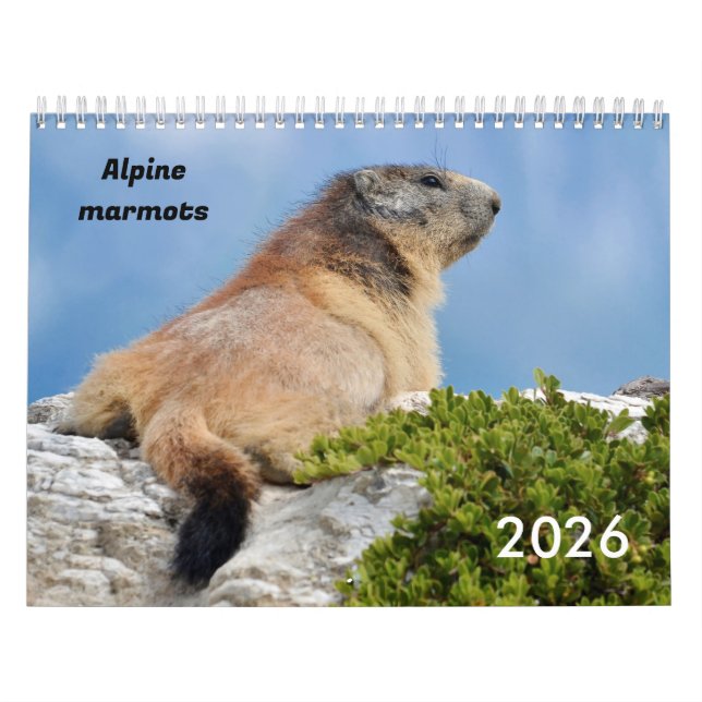 Kalender 2023 för alpmarmots (Omslag)