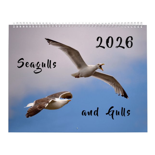 Kalender 2023 Gulls och Fiskmåsar (Omslag)