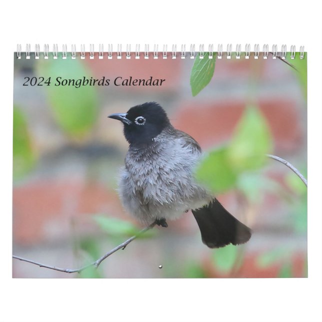 Kalender 2024 (Omslag)