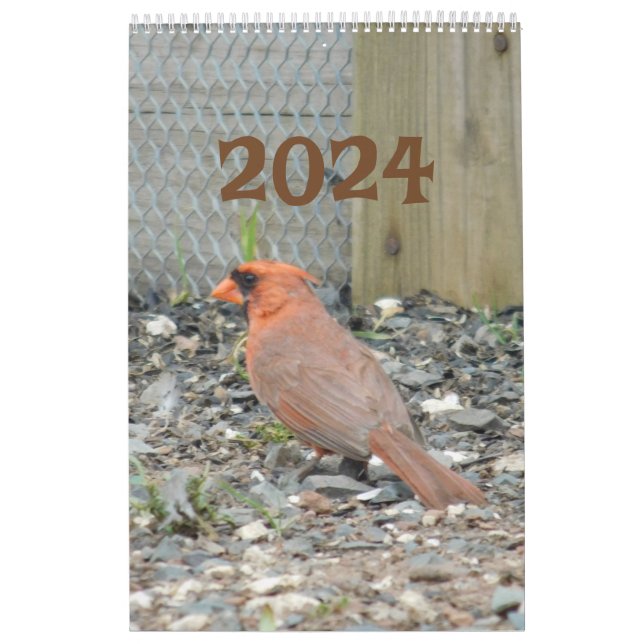 Kalender 2024 Bakbäcksfåglar (Omslag)