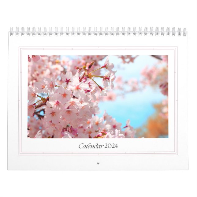 Kalender 2024 Sakura träd (Omslag)